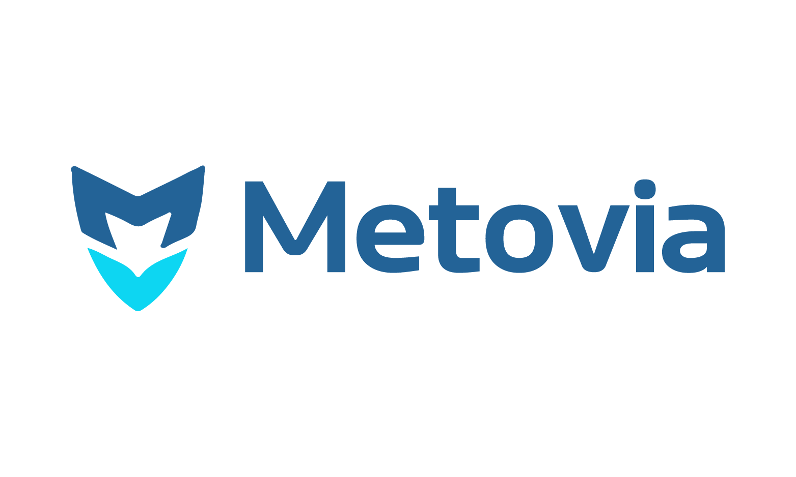 Available Business Name For Sale - Metovia
